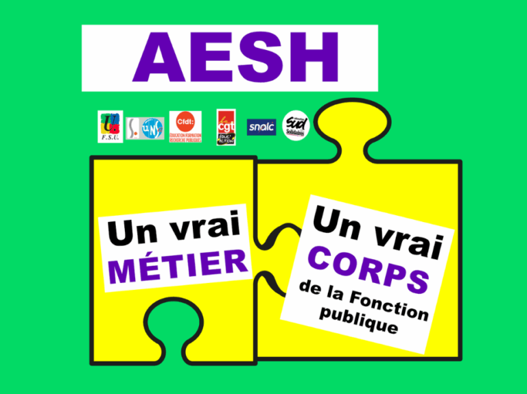 Pétition AESH : un vrai métier, un vrai corps de fonctionnaire !