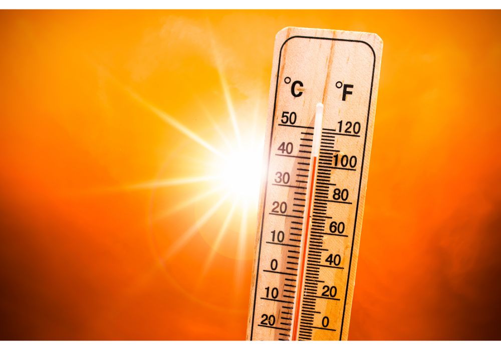 Canicule : vos droits, nos interventions