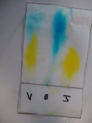 chromatographie.jpg