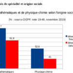 Choix de spécialité et origine sociale, l'exemple des mathématiques et de la Physique-chimie