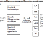 Les parcours dans la série ES