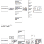 Les parcours dans les séries L et S